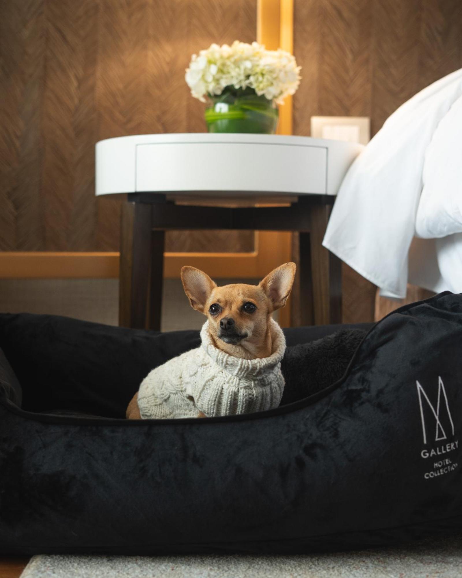Manto Hotel Lima - Mgallery Eksteriør billede
